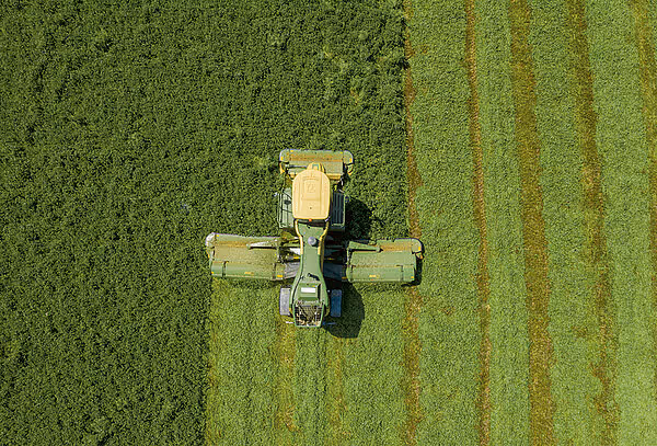 Fugleperspektiv av KRONE Big M 450 slåmaskin i drift på eng. Maskinen har klippet tydelige striper i gresset sett ovenfra.