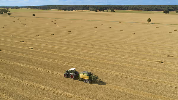 En traktor med Krone Big Pack ballepresse arbeider på en stor stubbeåker med spredte halmballer. Maskinen lager store firkantballer av kornstubb.