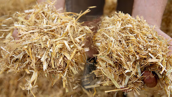 Ferdige halmballer produsert av KRONE BigPack ballepresse ligger på bakken. Ballene har kompakt rektangulær form med tydelig struktur av sammenpresset halm.