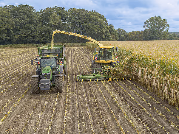 krone-big-x-480-630-tabs-106