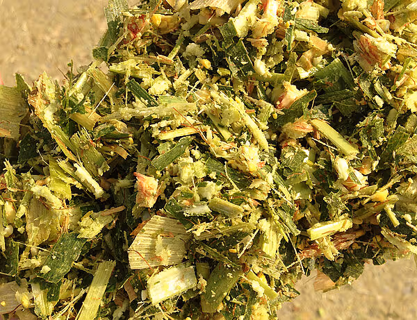 krone-big-x-480-630-tabs-3