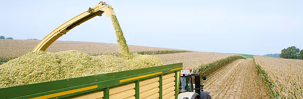 krone-big-x-480-630-tabs-32