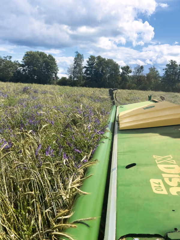 krone-big-x-480-630-tabs-91