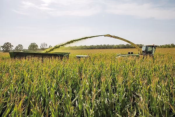 Krone Big X som kaster avlingen over lang avstand til tilhenger bak traktoren.