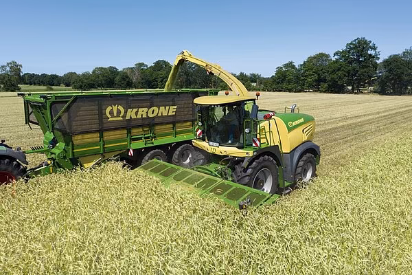 KRONE BiG X felthøster med XDisc 620 direktekutterskjærebord som høster helhvetesurfôr og laster over i en tilhengervogn på et åpent jorde.