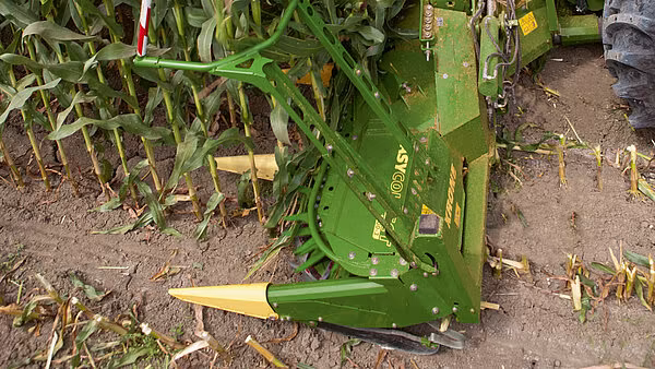 KRONE EasyCollect maishøstehode montert på felthøster under høsting, sett fra siden.
