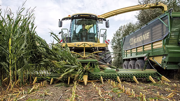 KRONE BiG X felthøster med EasyCollect under høsting av mais med tilhengervogn ved siden.