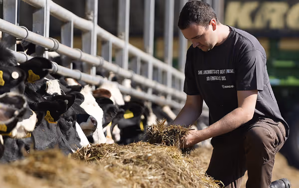 Landbruker i mørk arbeidsdrakt undersøker høykvaliteten ved å ta opp strå fra fôret til kyr i fjøset.