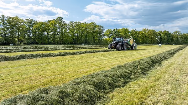 En traktor med ballepresse arbeider på en slått eng med ferdigproduserte rundballer spredt utover feltet.