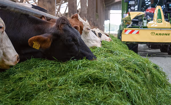 krone-easycut-f-tabs-105