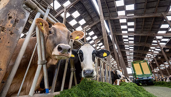 krone-easycut-f-tabs-110