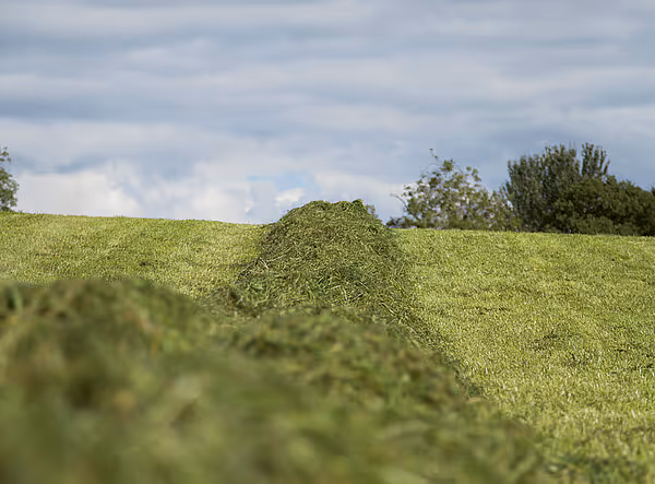 krone-swadro-sts-tabs-22