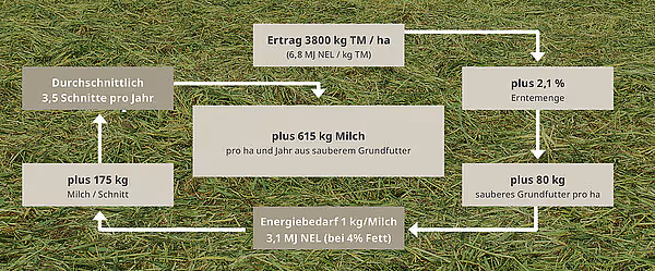 krone-swadrotc-tabs-29